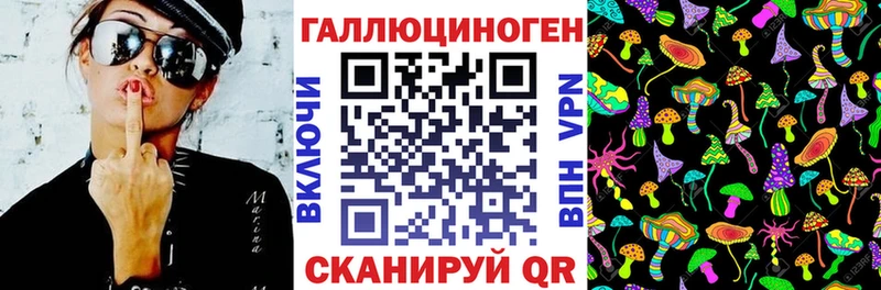 Галлюциногенные грибы Psilocybine cubensis  Торопец 