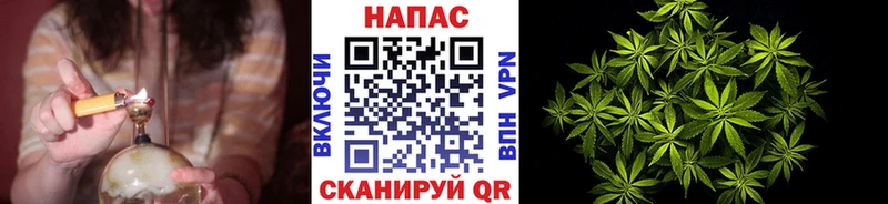 Шишки марихуана сатива Торопец